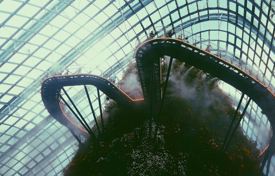 Explore the misty walkways and lush greenery inside Singapore's iconic Cloud Forest conservatory.